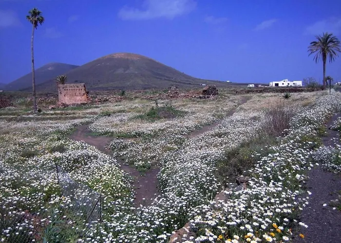 Σπίτι διακοπών Castillo Lanzarote Winni By Interhome