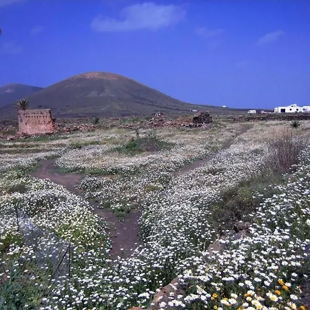 Semesterbostad Castillo Lanzarote Winni By Interhome